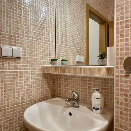 Apartment Tatry Comfort - Tatranska Lomnica Vysoke Tatry