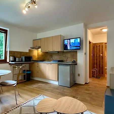 Apartman Tatry Comfort - Tatranska Lomnica Vysoké Tatry