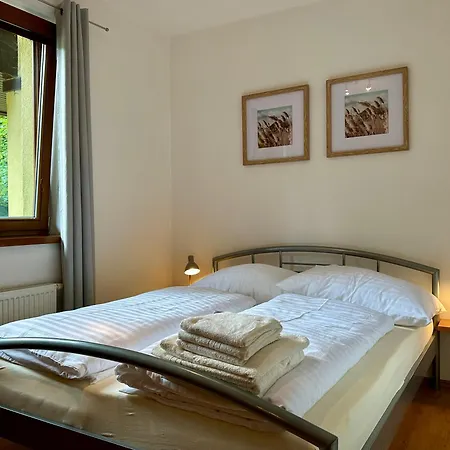 Apartmán Tatry Comfort - Tatranska Lomnica *